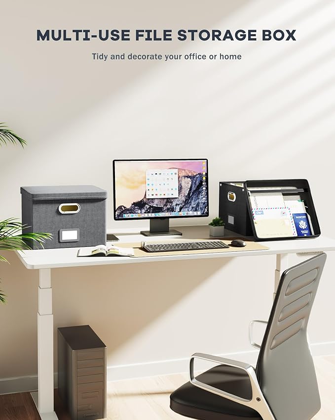 Oterri File Organizer Box with Lid,Large Hanging Filing Box with Mesh Pocket, Document Organizer for Letter Files, Portable Storage Case with Smooth Sliding Rail for Office&Home (1 PCS, Dark grey)