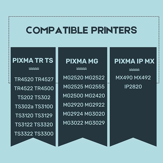 245XL Ink Cartridge Replacement for Canon 245XL Black Ink PG-245 Compatible with Canon Pixma MX490 MX492 MG2522 MG3022 MG2520 TS3100 TS3122 TS3300 TS3322 TR4522 Printer (2 Black Pack)