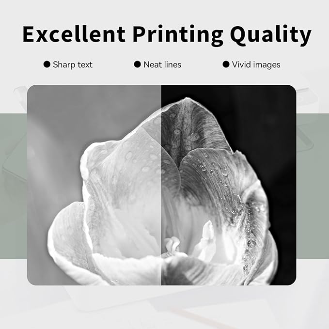 32A Black Imaging Drum High Yield Replacement for HP 32A CF232A Drum Unit Compatible with M203dn M203dw MFP M227fdn M227sdn M227fdw Printer (2-Pack)