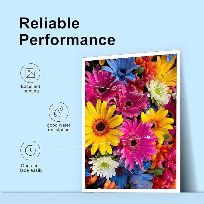 TEINO 252XL 252 Ink Cartridges Combo Pack Remanufactured Ink Cartridge Replacement for Epson 252 XL 252XL for Workforce WF-7710 WF-3640 WF-7720 WF-3620 WF-7620 (Black Cyan Magenta Yellow, 4-Pack)