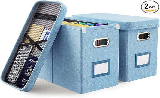 Oterri File Organizer Box with Lid, Hanging Filing File Box with Mesh Pocket, Document Organizer Box for Letter Files, Portable Storage Box with Smooth Sliding Rail for Office&Home (2 PCS, Sky-blue)