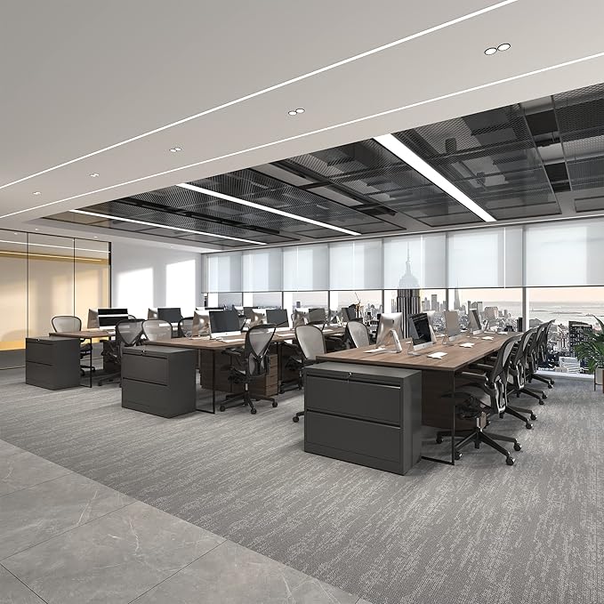 2 Drawer Lateral File Cabinet, Metal File Cabinets for Home Office Legal/Letter A4 Size, File Cabinet with 2 Drawer Storage Cabinet, Require Assembly, Black