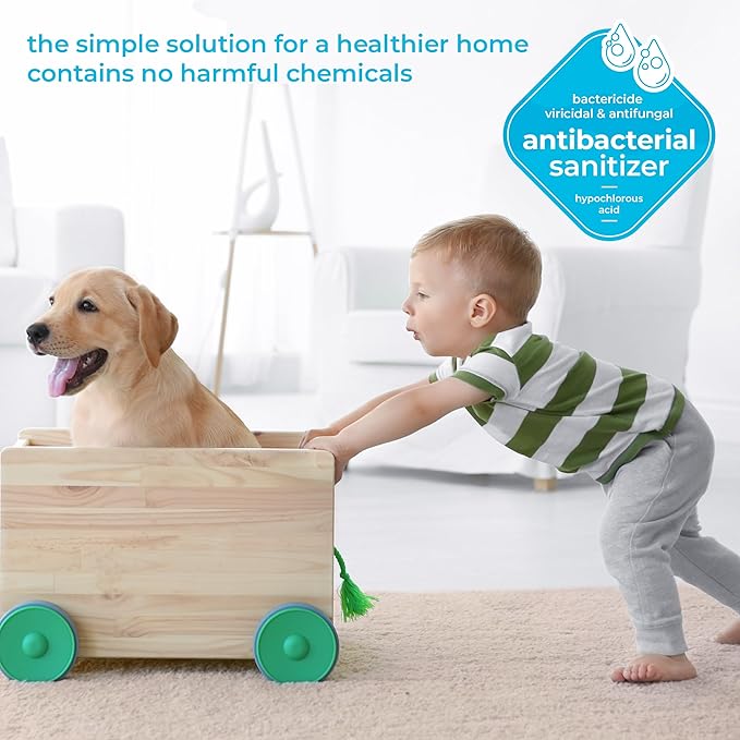 BRIOTECH Sanitizer Disinfectant Hypochlorous Spray, Kill 99.99% of Viruses & Bacteria, Control Mold, Eliminate Odor, Gentle for Nursery & Play Rooms, Food Contact Surface Sanitizer, 32 fl oz (4 Pack)