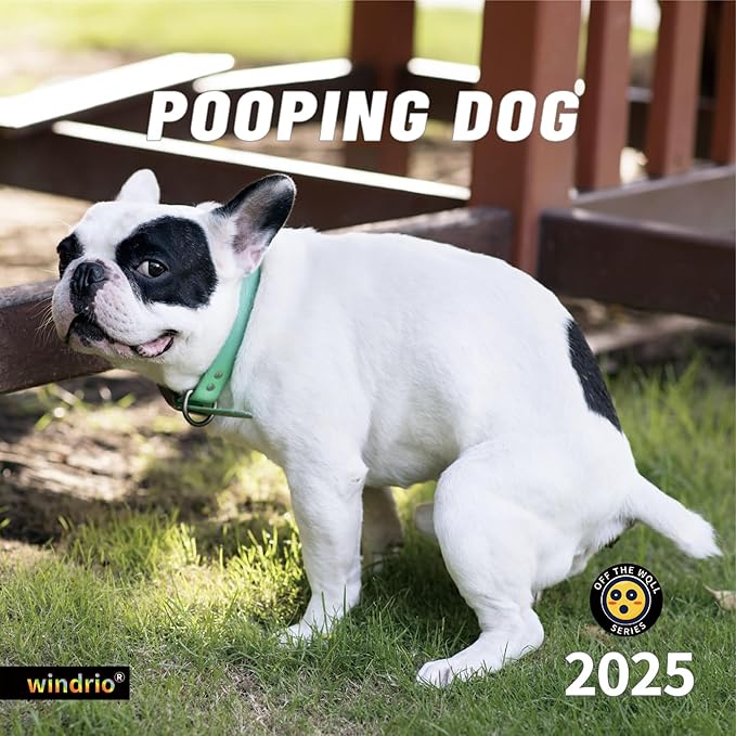 Gag Gift 2025 Wall Calendar, Funny White Elephants Funny Pooping Dogs Calendar 2025,12 Monthly Calendar, January 2025 - December 2025, 12" x 24" Opened Full Page Thick & Sturdy Paper for Organizing