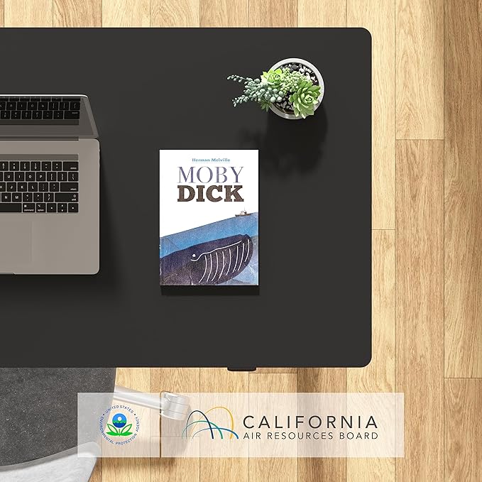 FLEXISPOT EN1 Whole-Piece Standing Desk 40 x 24 Inches Electric Height Adjustable Small Desk for Home Office (Black Frame + 40 in Black Top)